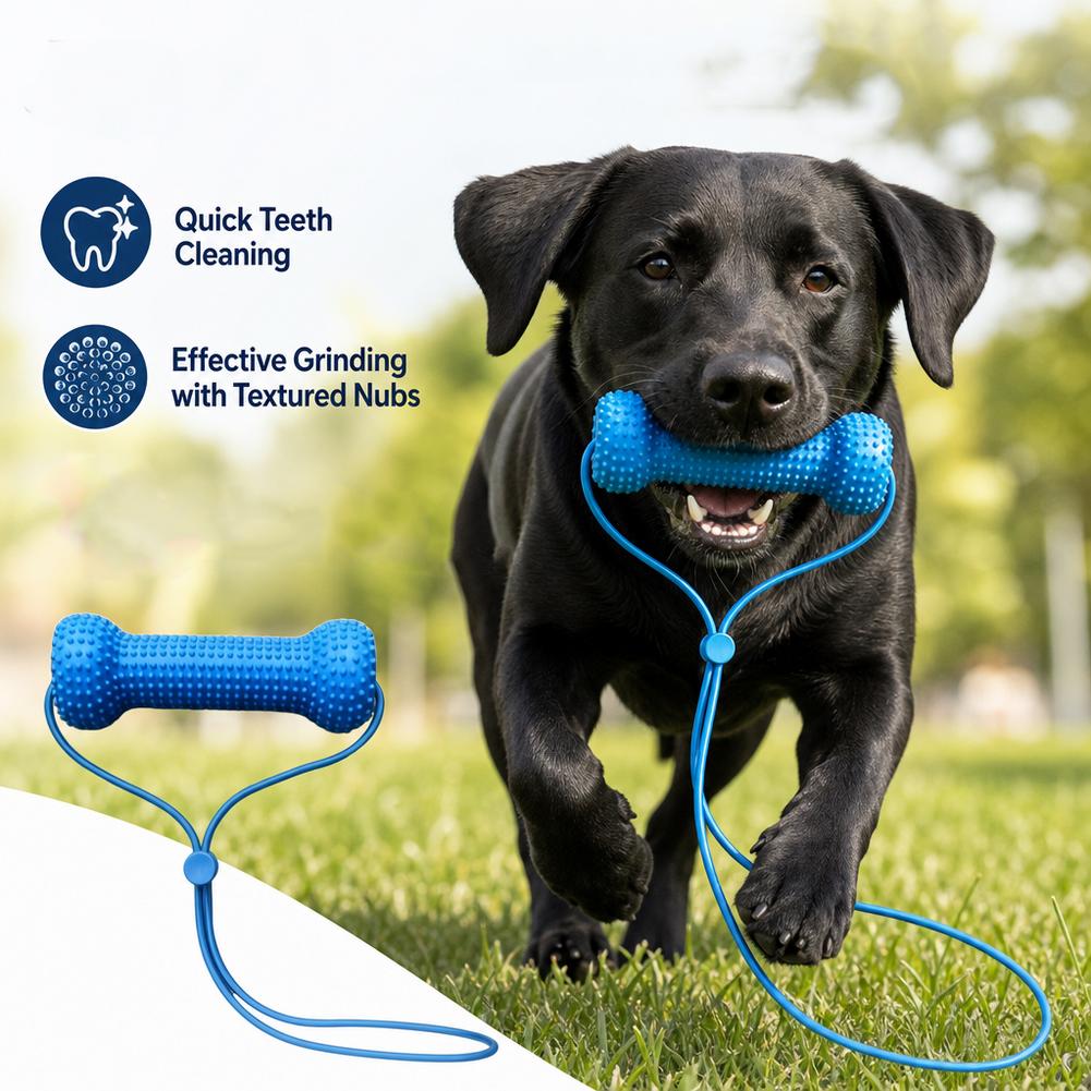 Teeth Cleaning Dog Chew Bone - ペット用デンタルケアおもちゃ 2in1 歯磨き用骨型おもちゃ 再利用可能でインタラクティブな犬用デンタルおもちゃ 歯磨き用