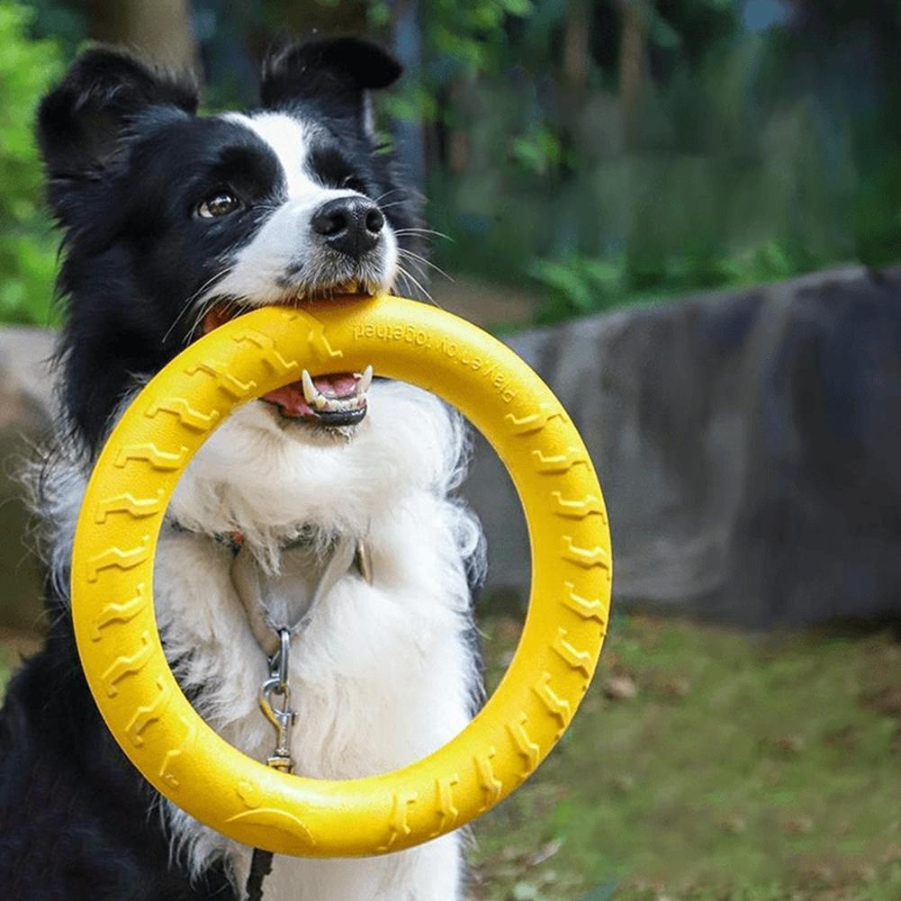 Indestructible Dog Chew Toy - 犬用リングおもちゃ。壊れにくく、噛むのに適しており、空中で飛ぶように遊べる。小型犬、中型犬、大型犬向けのトレーニング用具。投げてキャッチする遊びに最適。