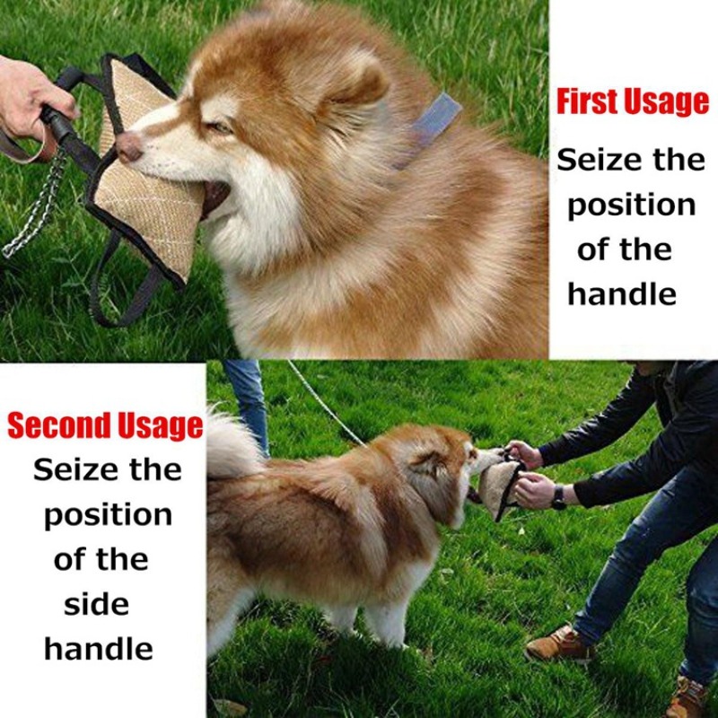 丈夫な犬用トレーニングバイトタグトイ、3つのハンドル付きジュ - Interactive Squeaky Plush Dog Toy のレビューと価格