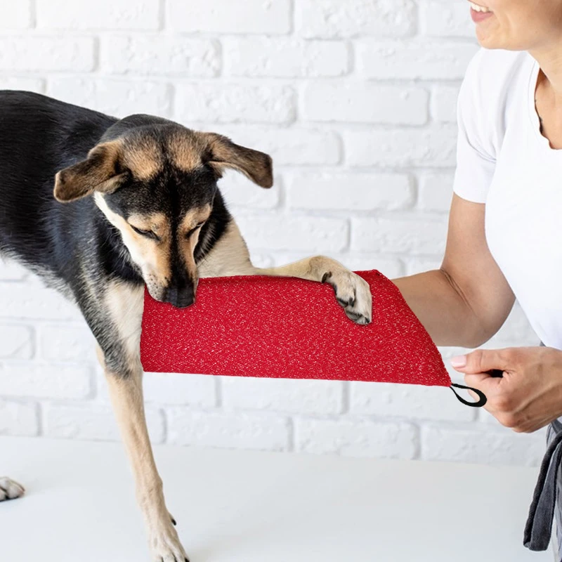 子犬用の耐咬傷トレーニングスリーブ,インタラクティブな犬のト - Interactive Squeaky Plush Dog Toy のレビューと価格