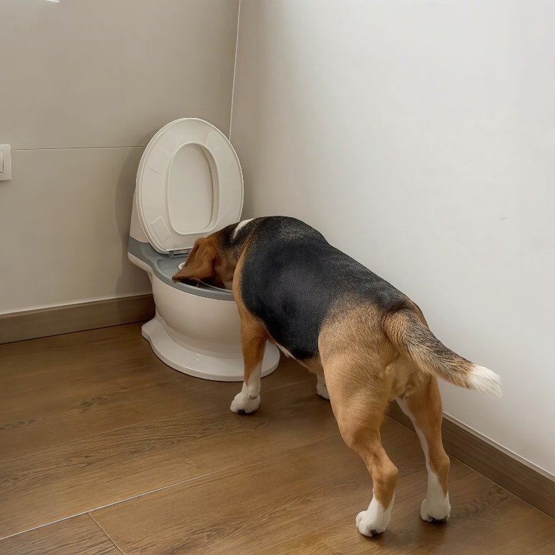 2026年新作、ユニークで面白いデザインの犬用スローフィーダ - Pet Feeders のレビューと価格