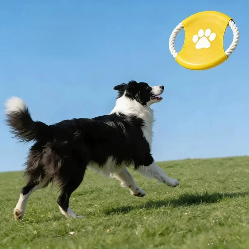 人気インフルエンサーが愛用！ペット用コットンロープ製フリスビ - Flying Disc Dog Training Toy のレビューと価格