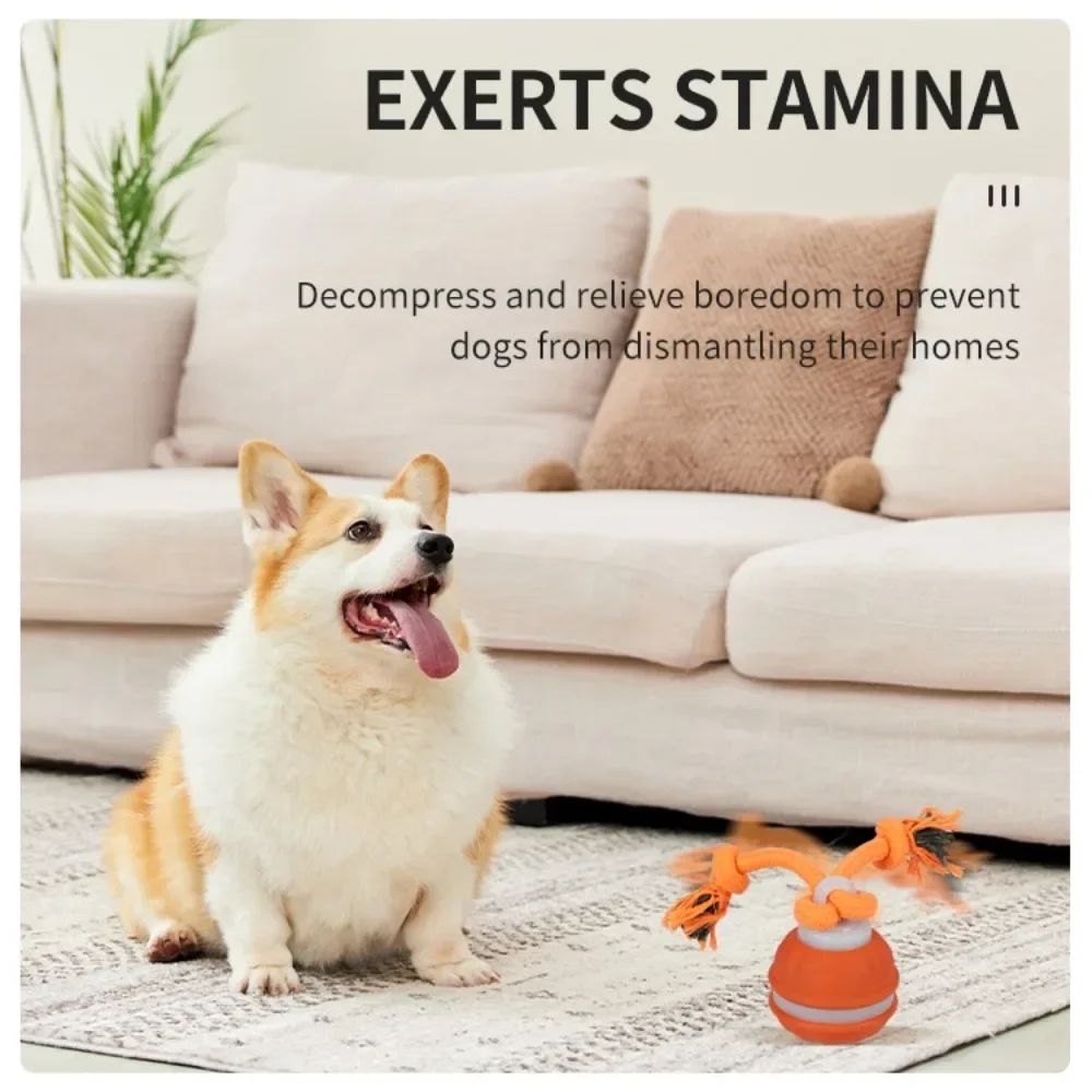 犬用ペットボール。インタラクティブなおもちゃ。動きを感知して - Automatic Moving Dog Ball のレビューと価格