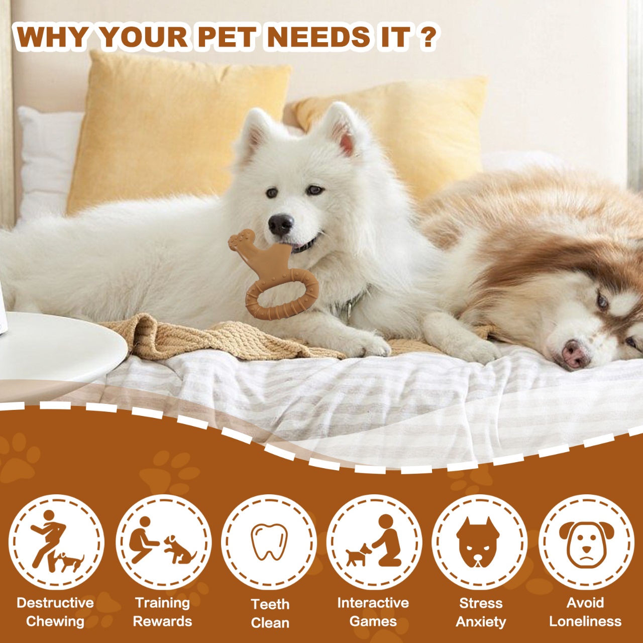 耐久性のある骨型のインタラクティブな犬用噛むおもちゃ1個 - - Teeth Cleaning Dog Chew Bone のレビューと価格
