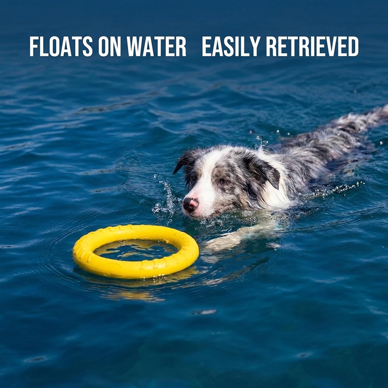 犬のおもちゃペットフライングディスクEVA犬用トレーニングリ - Flying Disc Dog Training Toy のレビューと価格