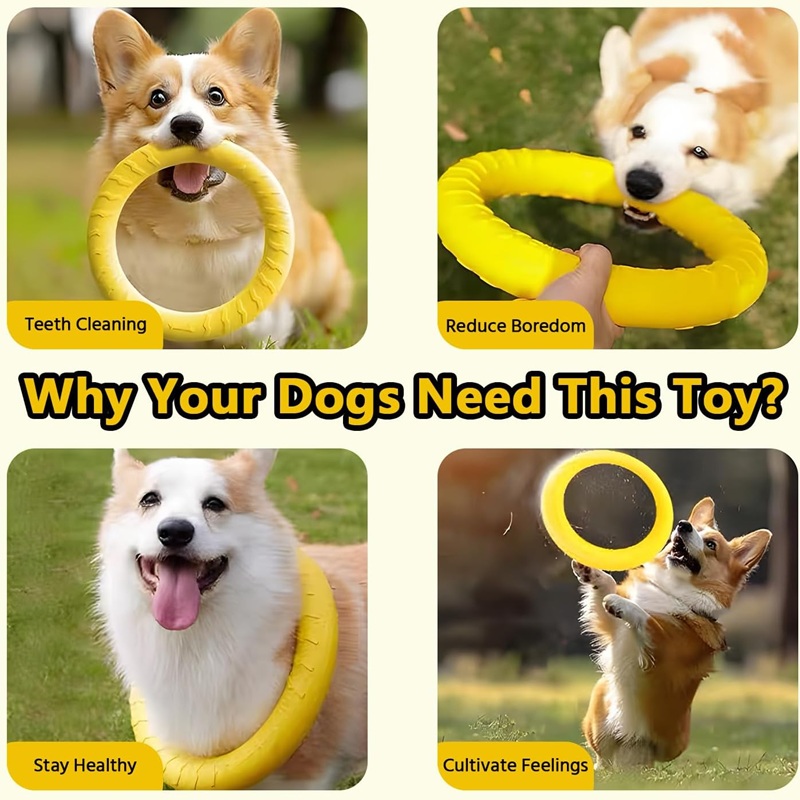 犬のおもちゃペットフライングディスクEVA犬用トレーニングリ - Flying Disc Dog Training Toy のレビューと価格
