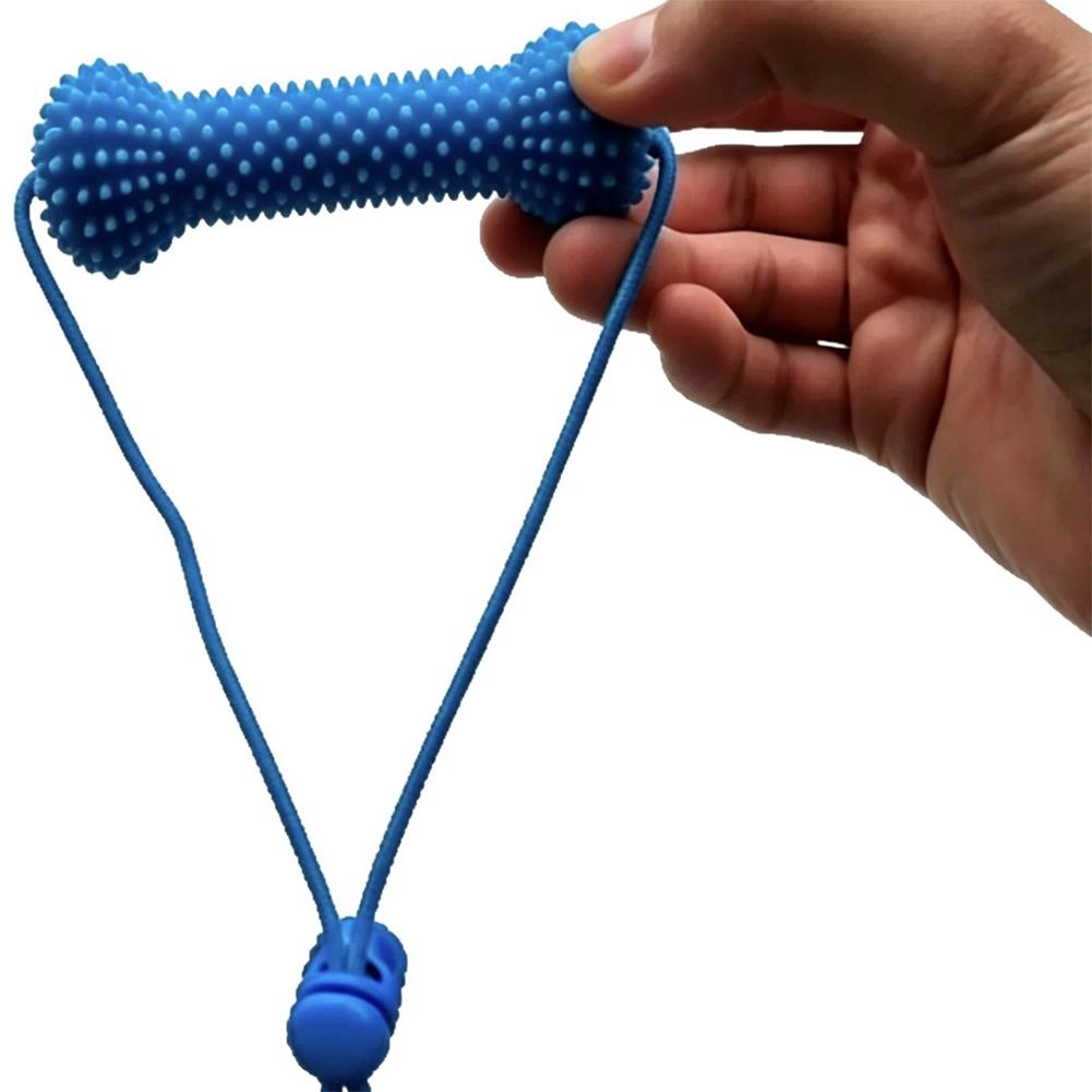 ペット用デンタルケアおもちゃ 2in1 歯磨き用骨型おもちゃ - Teeth Cleaning Dog Chew Bone のレビューと価格