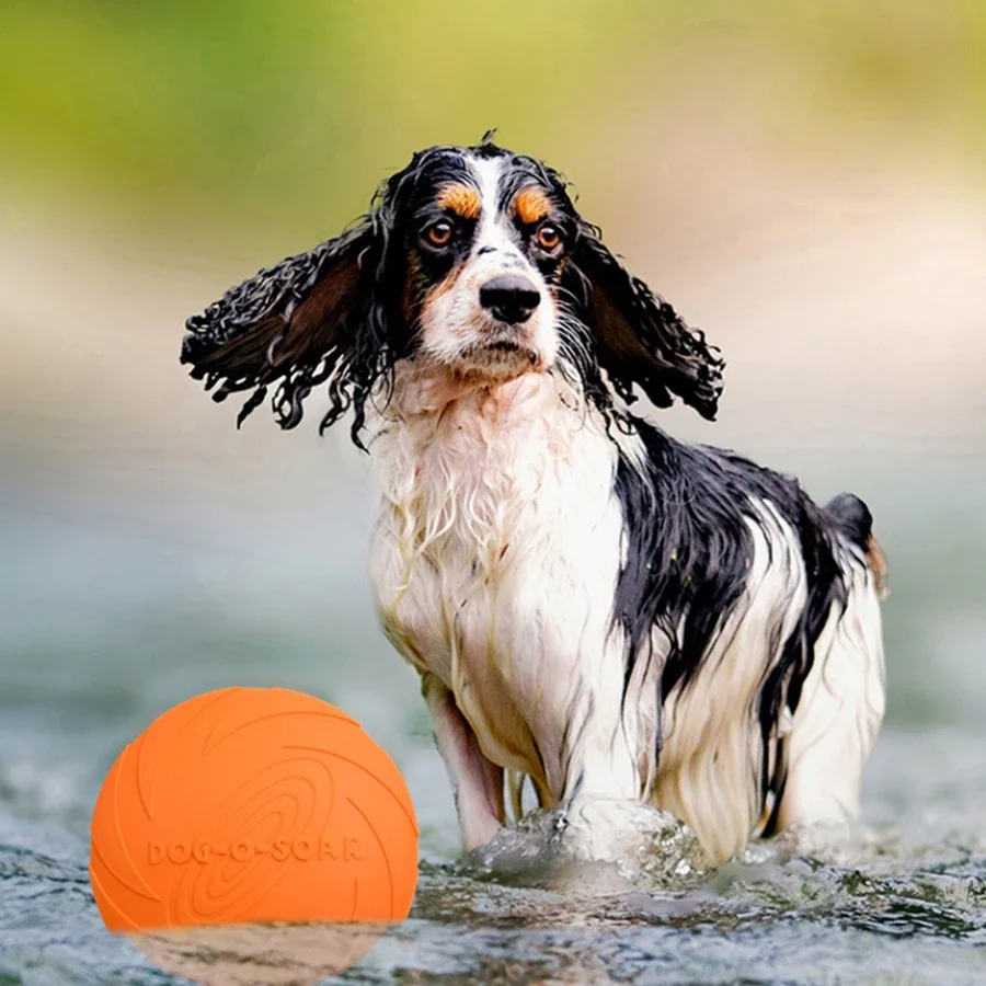 大型犬用、金色の毛並み、ペット用フライングディスクおもちゃ。 - Flying Disc Dog Training Toy のレビューと価格