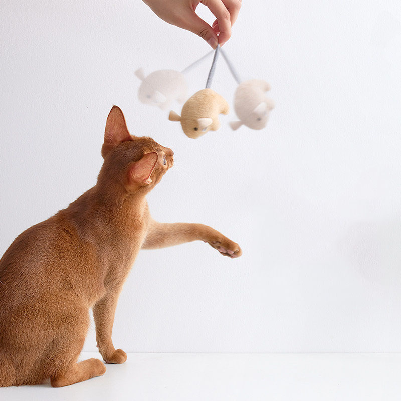 猫用ぬいぐるみキャットニップマウスおもちゃ、室内猫用インタラ - Catnip Interactive Plush Mouse のレビューと価格