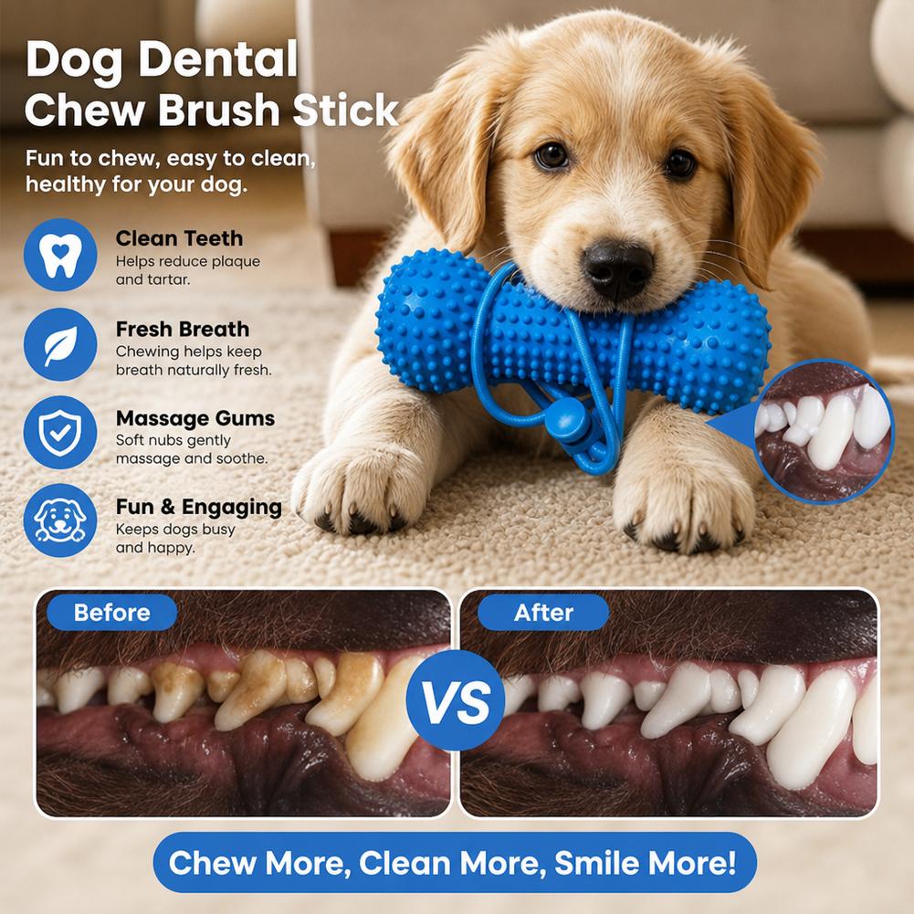 犬用歯固めおもちゃ、プラスチック製、骨の形、表面に凹凸があり - Teeth Cleaning Dog Chew Bone のレビューと価格