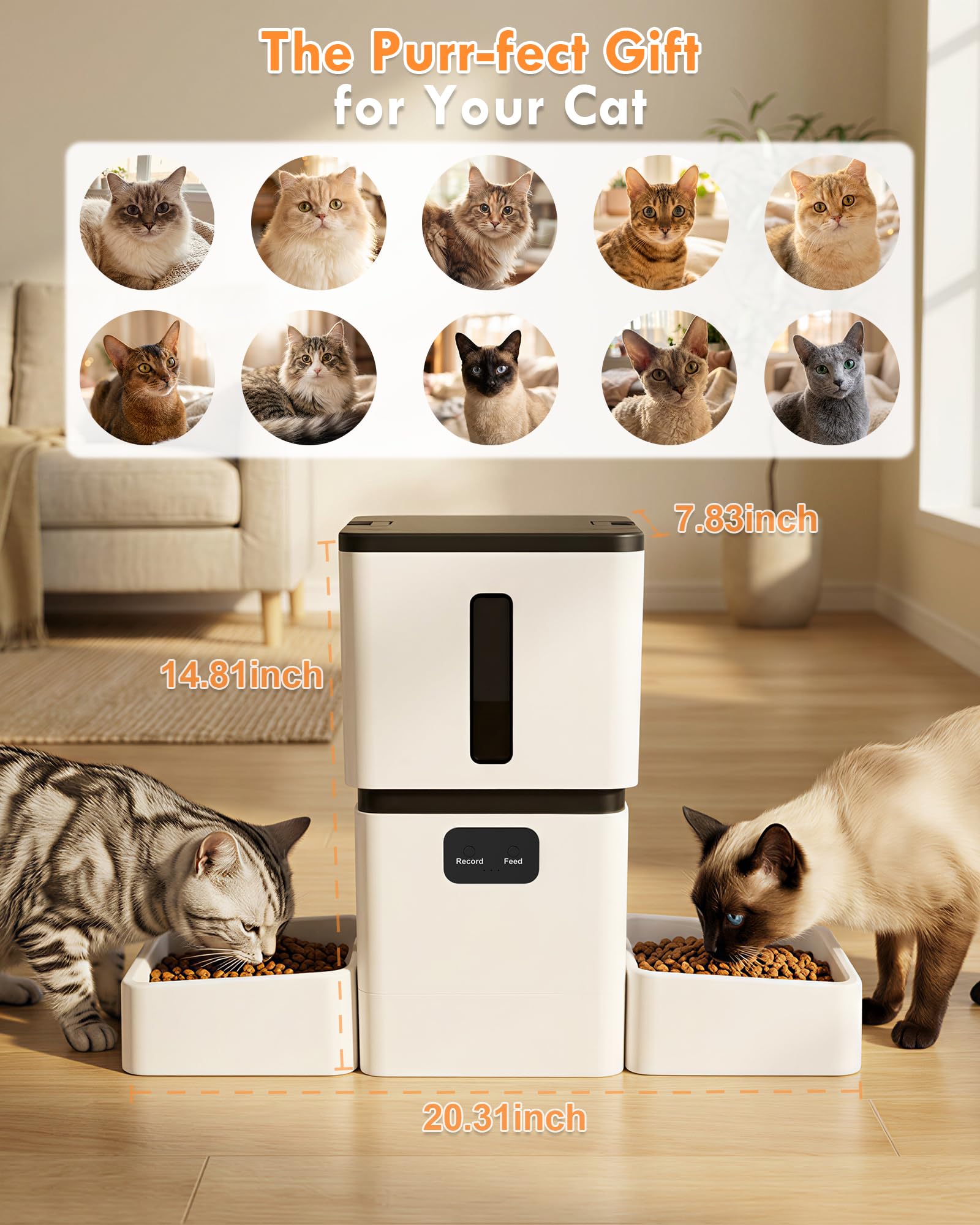 5GHz WiFi 8L スマート自動ペットフィーダー デュ - Pet Feeders のレビューと価格